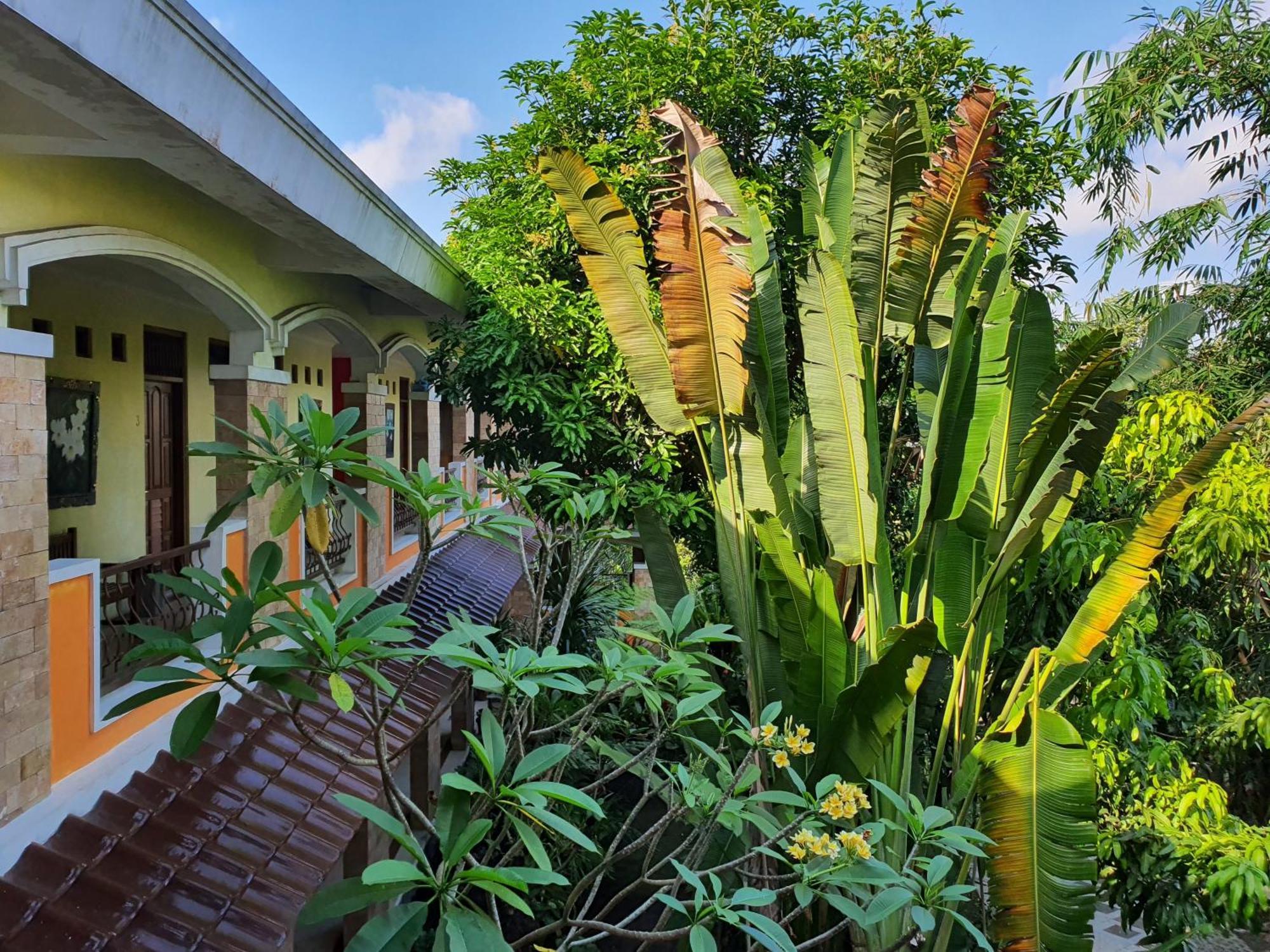 Villa Alicia Maguwo Exterior photo